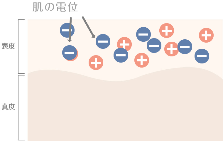 お肌の電位が整うイメージ図
