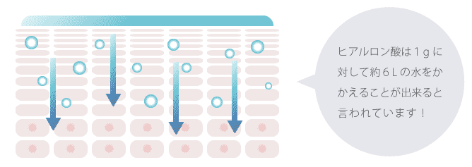 ヒアルロン酸の肌浸透イメージ図