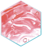 プロテオグリカン