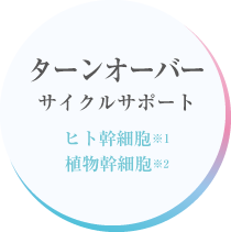 ターンオーバーサイクルサポート
